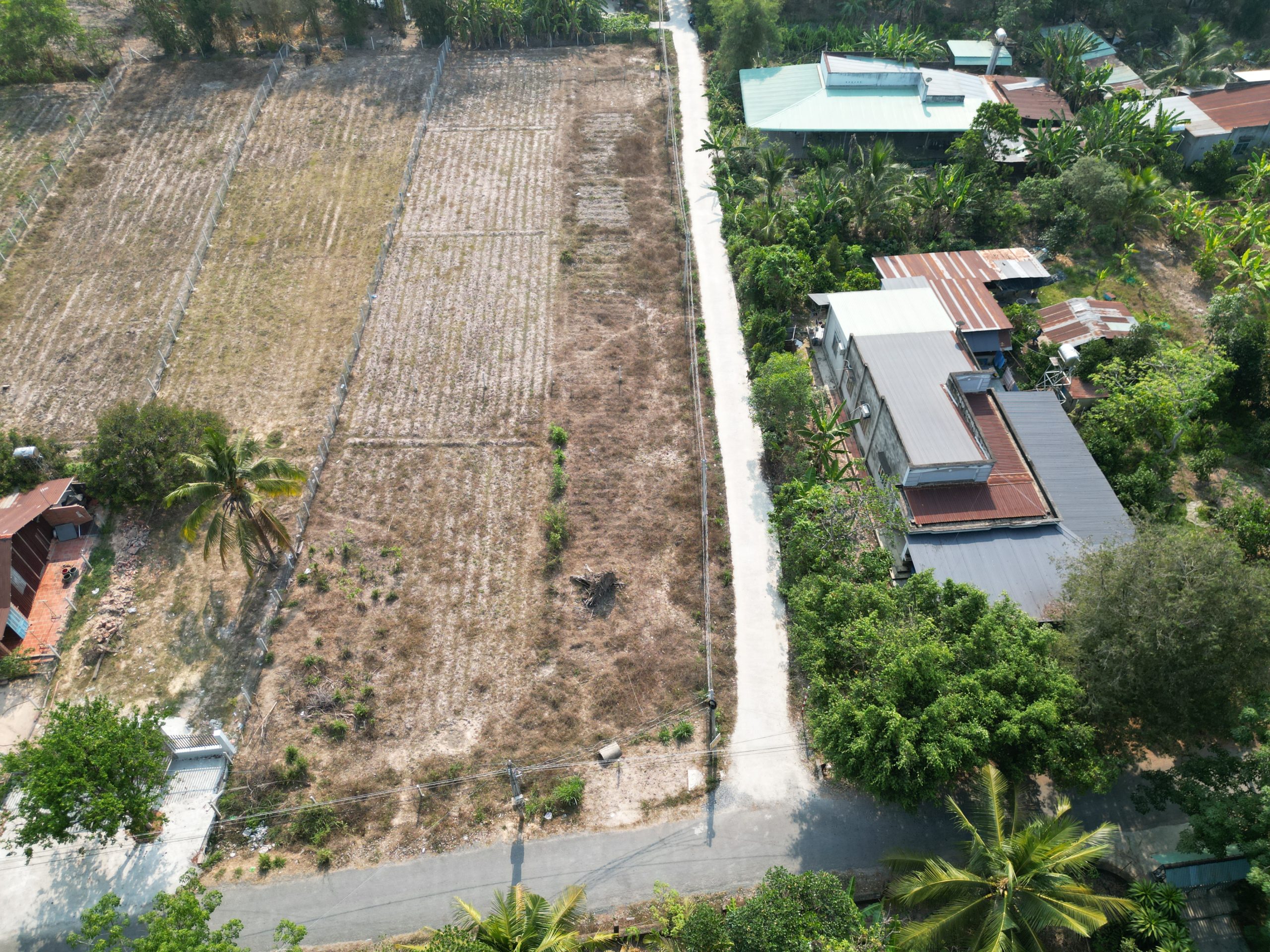 CẮT LỖ BÁN 3 LÔ DẤT FULL THỔ CƯ TẠI CÂY DA, HIỆP THẠNH, GÒ DẦU, TÂY NINH