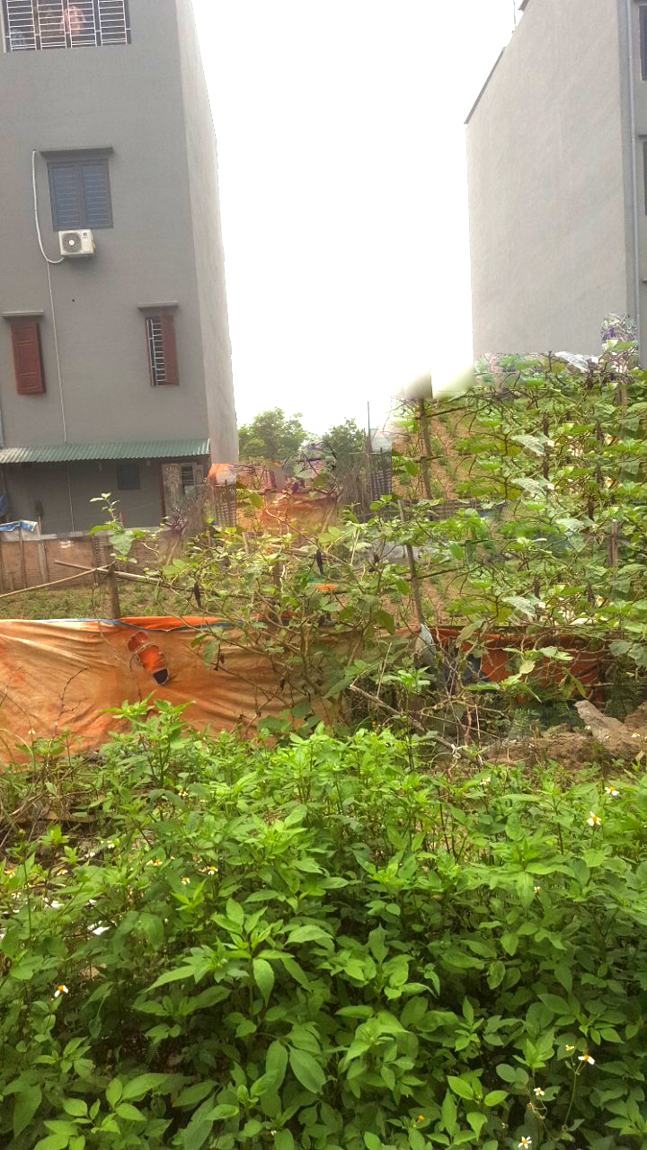 Đất vàng Nguyễn Quyền, Đại Phúc kinh doanh nhỉnh 4 tỷ