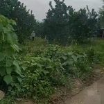  271.2m2 - 3