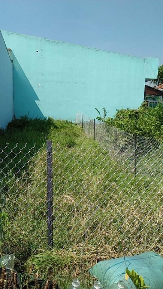 Gấp bán Đất 85m2 Tân Quý Tây Huyện Bình Chánh chỉ 1,35 tỷ.