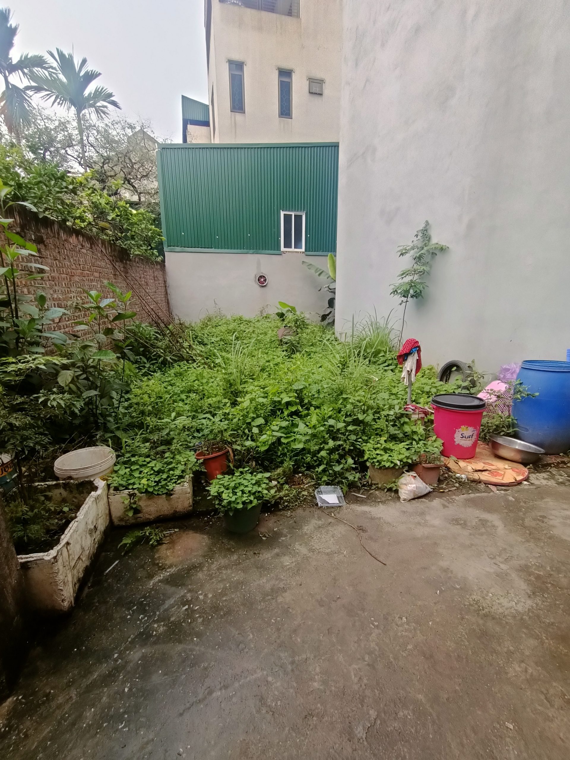 Bán đất chính chủ Yên Vĩnh cách Hinode 100m. Đất nhà mình gần Cấp 2 Kim Chung cách đúng 1 nhà là ra trục chính.