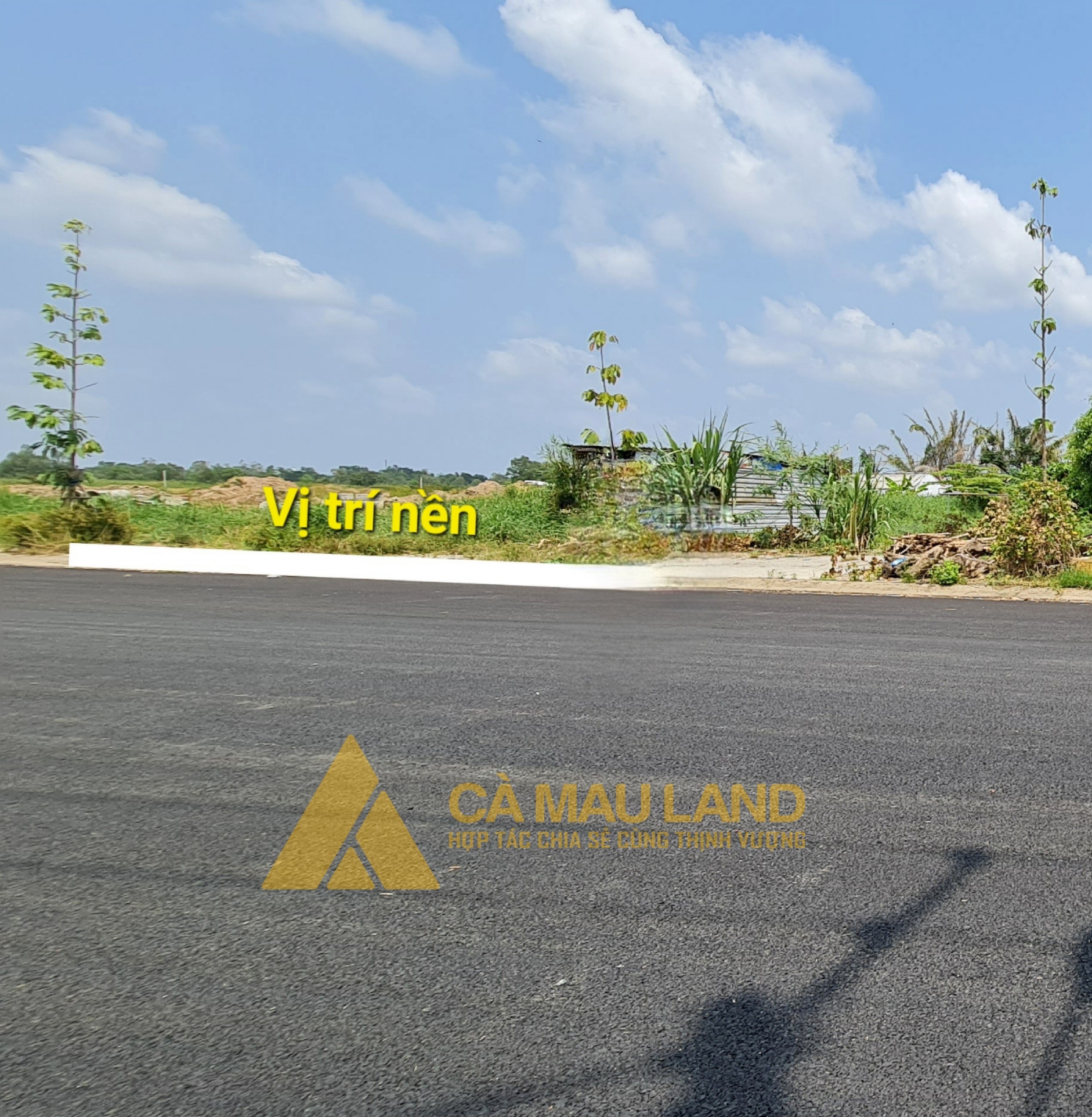 Đất TĐC Phường 4 khá đẹp, đường to, ngay cổng trường Tiểu học Văn Lang thông ra với Lâm Thành Mậu, tiện buôn bán kinh doanh.