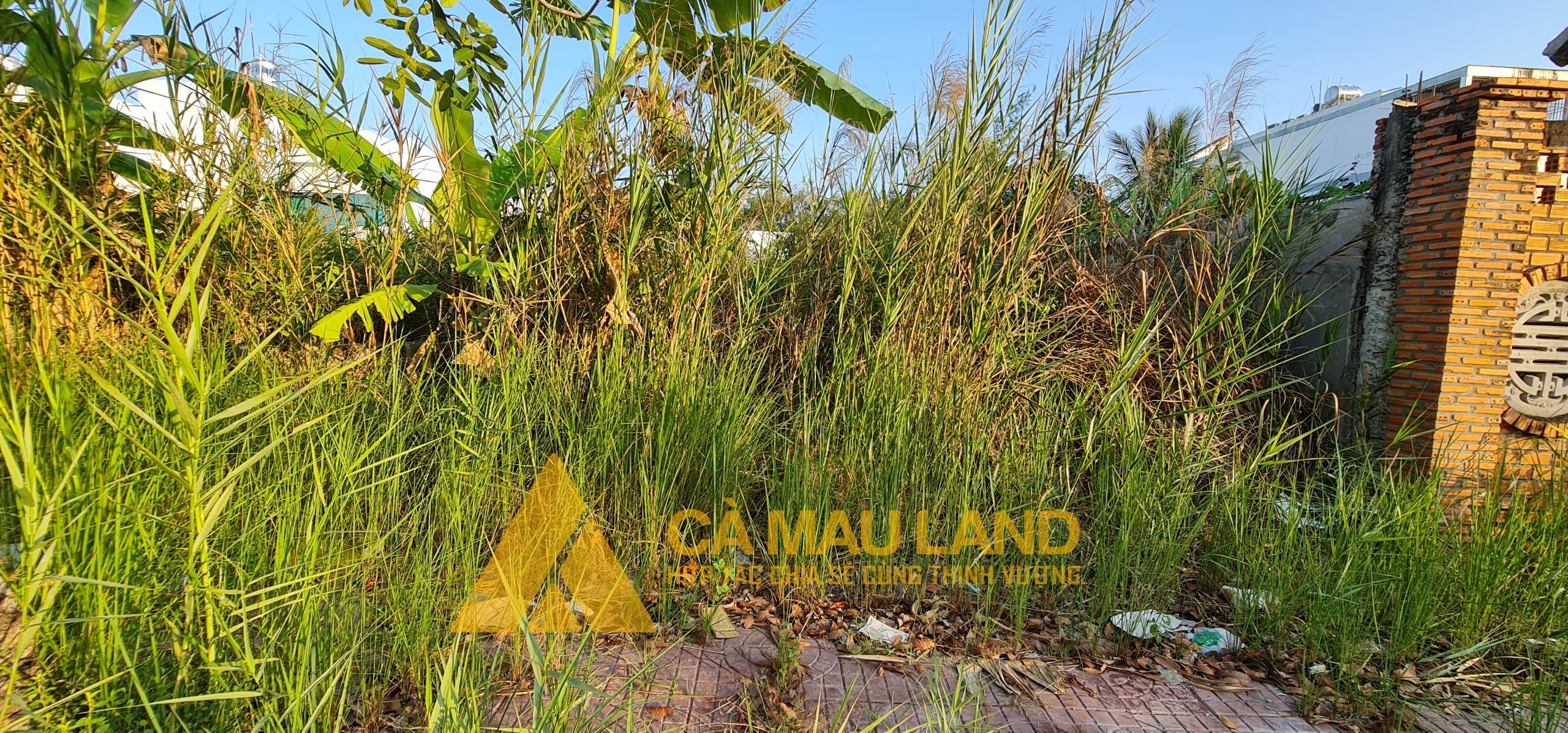 Nền cặp Licogi H7 - Phạm Thị Đồng, đường Châu Văn Liêm rẽ trái vào vài chục mét