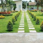  1000m2 - 1