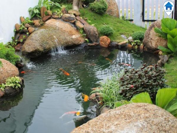 hoa-giai-phong-thuy-nha-o-ao-sau-nha
