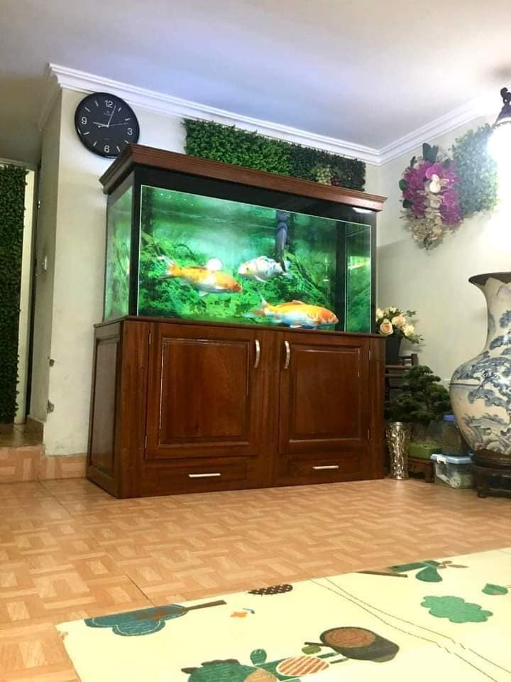 Nhà mặt phố Trần Nhân Tông gần ngã tư Bà Triệu, 30m2, MT 6m, giá 24 tỷ