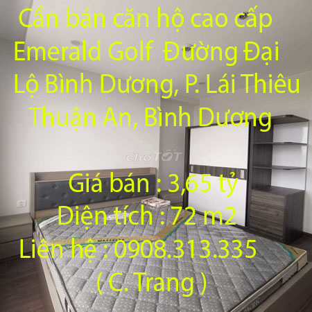 Cần bán căn hộ cao cấp Emerald Golf Đường Đại Lộ Bình Dương, Phường Lái Thiêu, Thuận An, Bình Dương