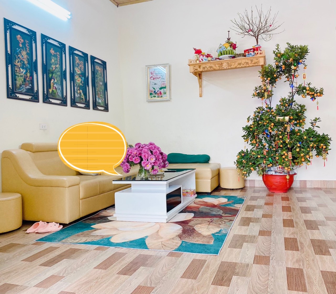 Bán nhà tại thôn Viên Du, Thanh Vân, Tam Dương, Vĩnh Phúc - Giá chỉ 1,2 tỷ