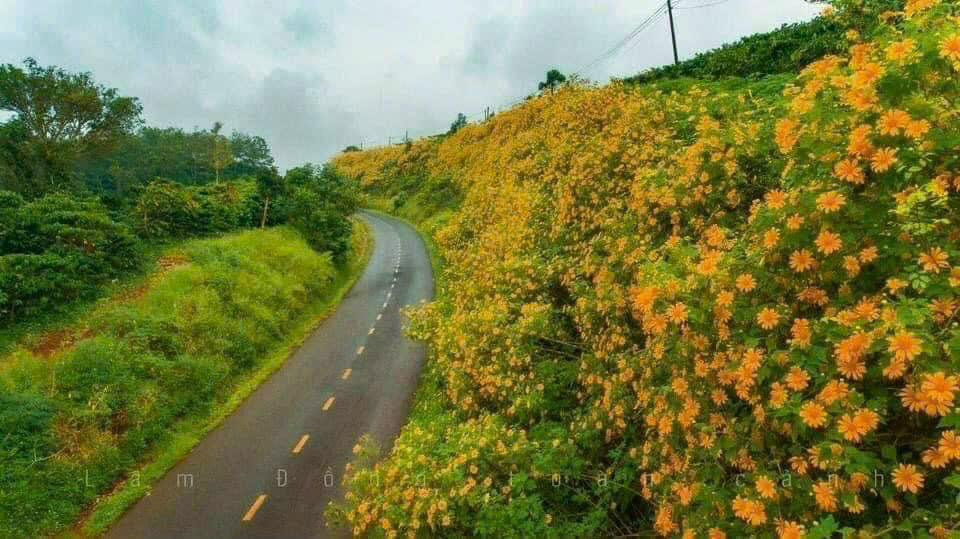 BÁN ĐẤT TẶNG NHÀ TẠI TAKA GARDEN HILL TP BẢO LỘC, SỔ ĐỎ CẦM TAY, GIÁ HƠN TỶ XÍU