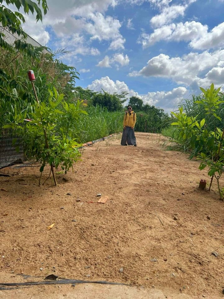 ban dat can giuoc long an 5287410