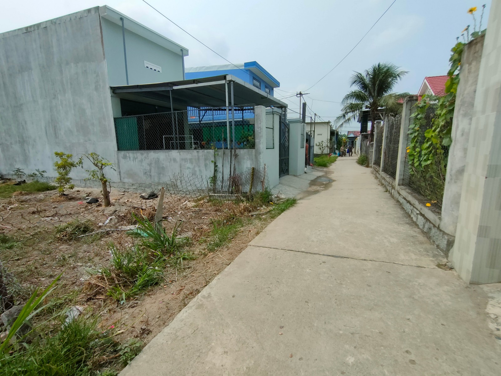 Bán đất thổ cư Diên Sơn 100m2 giá rẻ sát bên trục đường Liên Xã