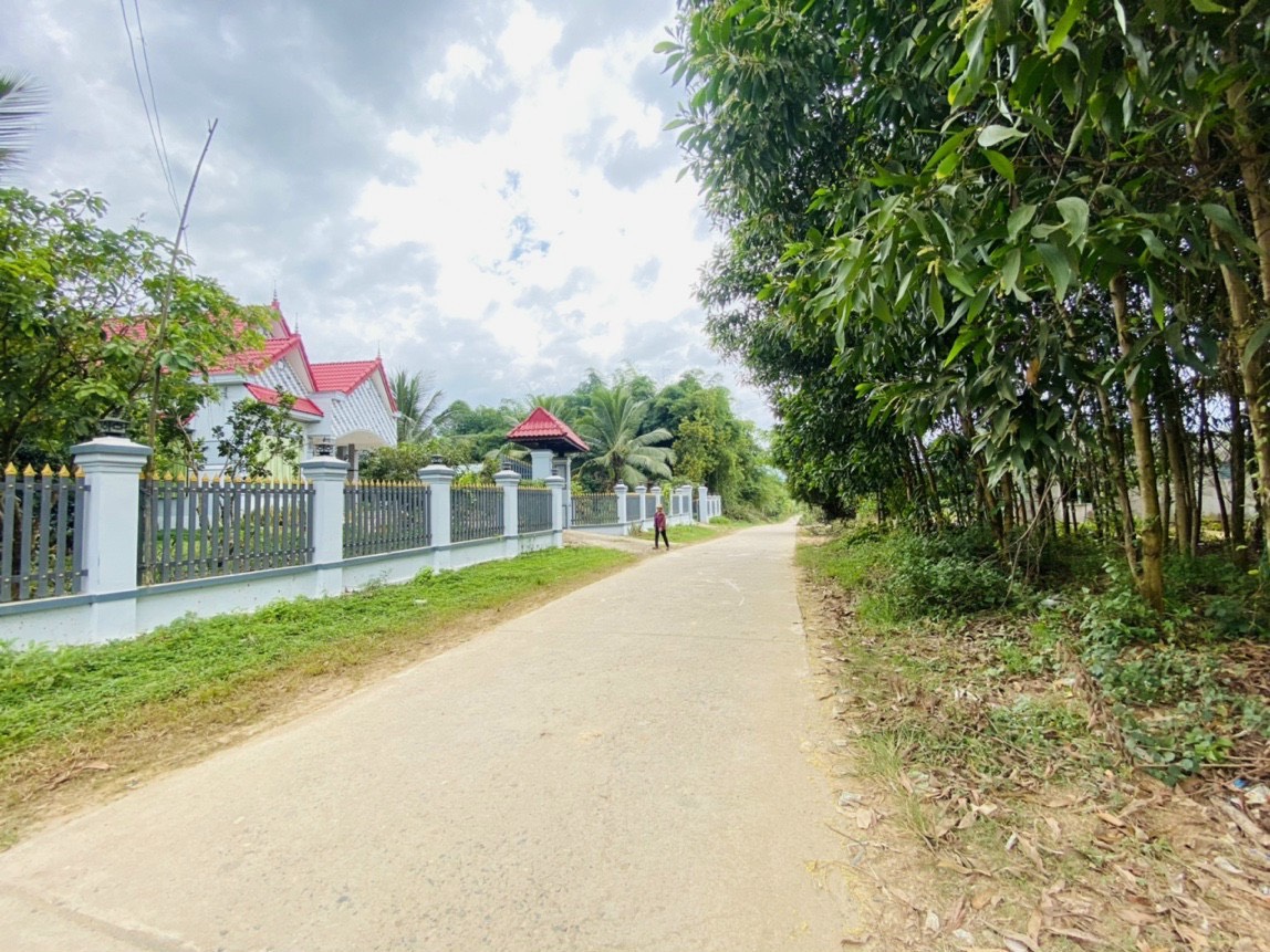 Bán đất thổ cư Diên Xuân giá rẻ mặt tiền đường bê tông liên thôn