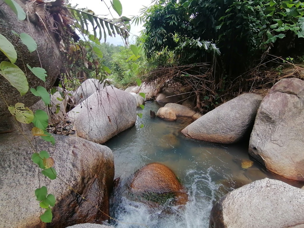 Bán đất giáp suối Khánh Thượng 1,95ha mặt tiền đường bê tông ngay khu dân cư
