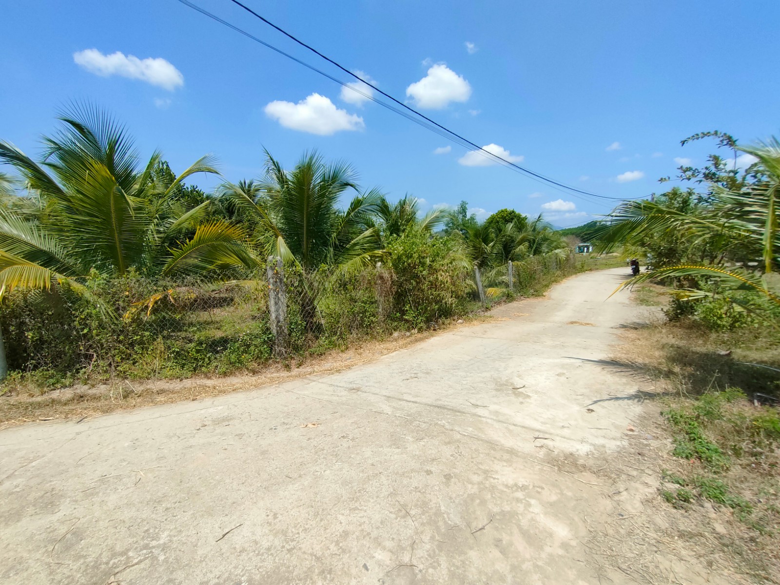 Bán vườn cây trái Diên Tân 1000m2 ngay trung tâm xã - Cách HL62 chỉ 100m