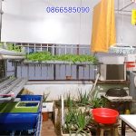  45m2 - 4