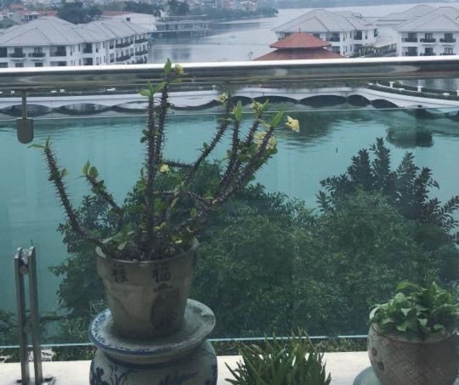 Bán nhà mặt phố Từ Hoa, view Hồ Tây, 7 tầng.