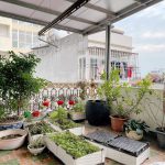  50m2 - 6