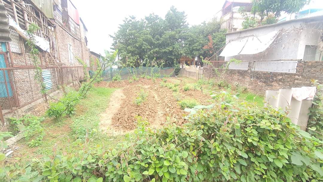 Bán đất Ba Đình xây Văn phòng, CCMN, Homestay, ngõ thông ô tô tránh 200m chỉ 17.9 tỷ