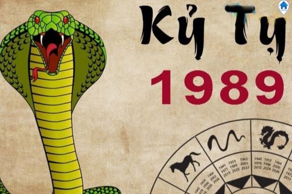 Đặc điểm chung của người tuổi Kỷ Tỵ chon-huong-giuong-ngu-cho-tuoi-ky-ty-mot-dac-diem