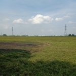  500000m2 - 5