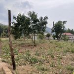  1200m2 - 4