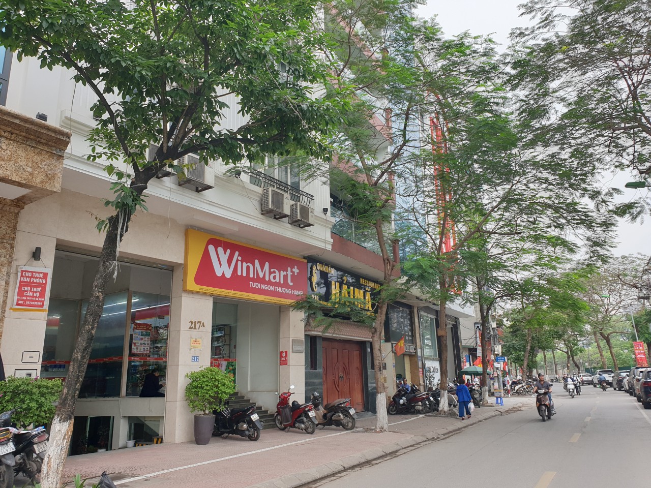 BÁN TÒA VĂN PHÒNG MẶT PHỐ QUAN HOA, CẦU GIẤY, DT 123 m2 x MT 8.5m, 8 TẦNG - CÓ HẦM - ĐÃ HOÀN CÔNG TRÊN SỔ