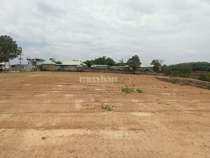 Bán gấp 2,4ha đất trung tâm Xuyên Mộc,Hồ Tràm, xe hơi vào tới đất,giá rẻ