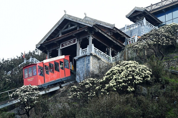 gia-ve-cap-treo-fansipan-2023-9