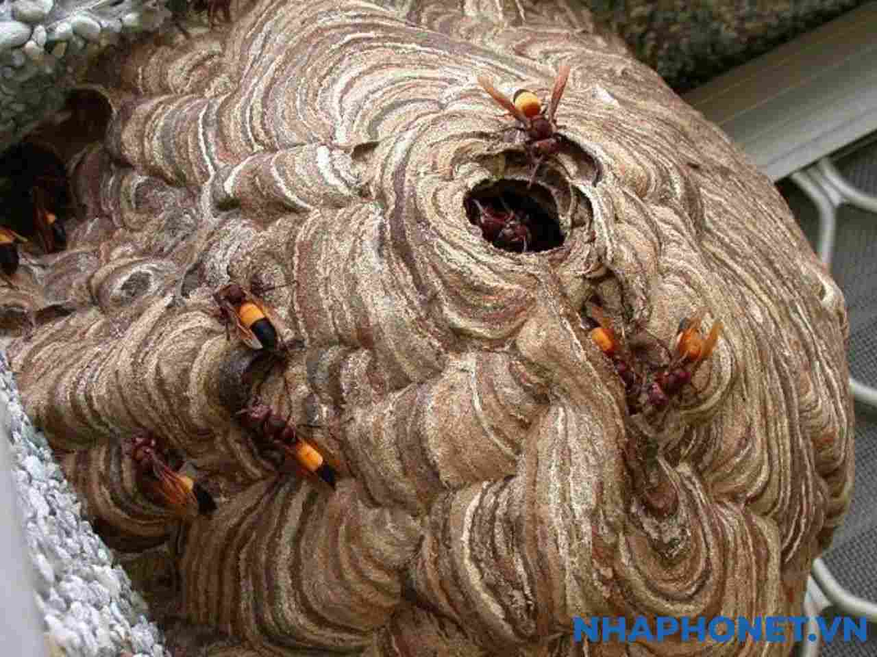 ong-dat-lam-to-trong-nha-tot-hay-xau