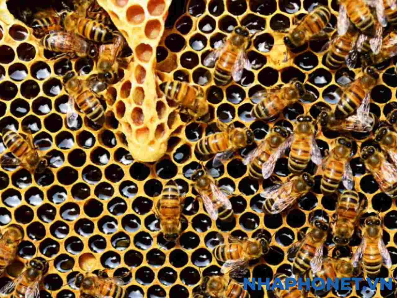 ong-mat-lam-to-trong-nha-tot-hay-xau