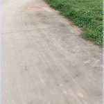  1100m2 - 5