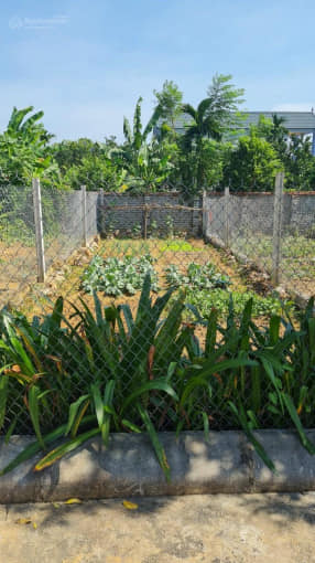 CHÍNH CHỦ BÁN LÔ ĐẤT ĐỒNG TRÚC 100M GIÁ 2.X TỶ - ĐƯỜNG XE CÔNG TRÁNH - 50M RA ĐẠI LỘ THĂNG LONG