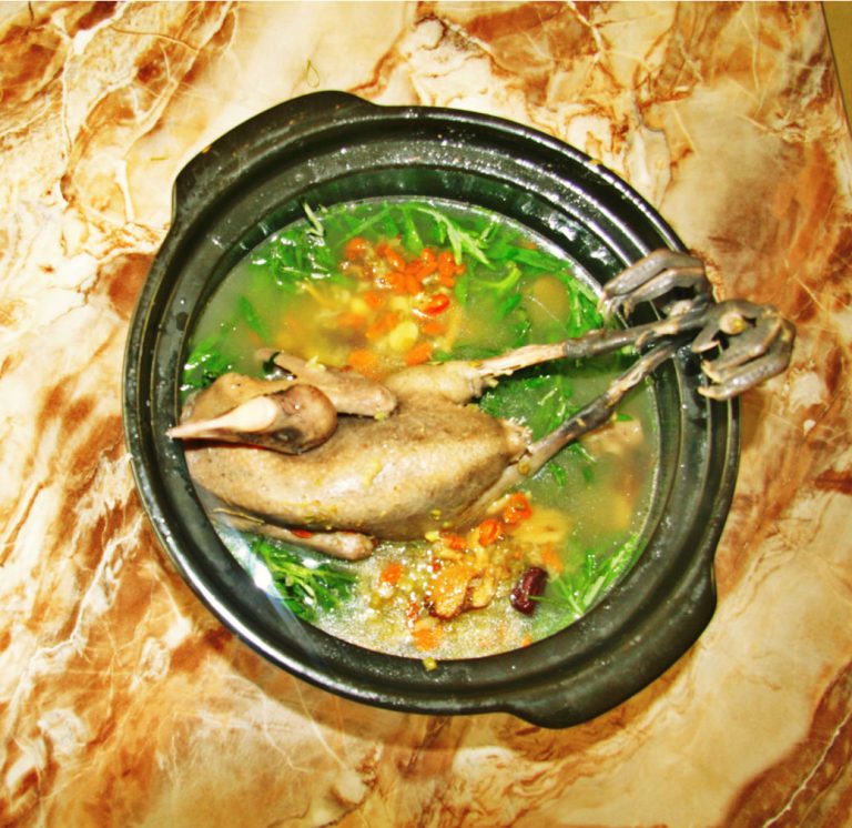 Lẩu chim trời thu co cong vien cau giay