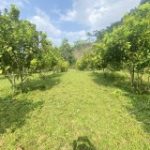  5000m2 - 5