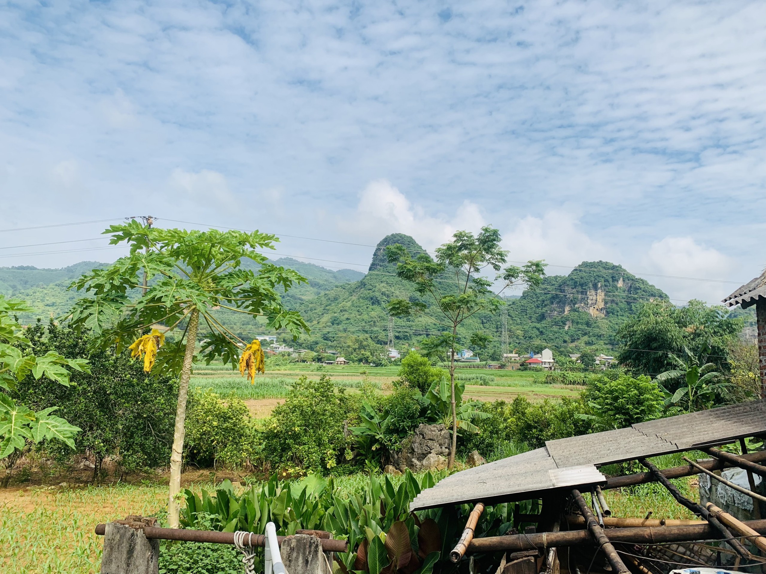 Cần BÁN lô đất 1883m2 tặng sẵn nhà tại Tây Phong, Cao Phong Đất thuộc khu vực trung tâm, gần trường học, nhà văn hoá, uỷ ban và chợ