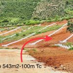  534m2 - 1