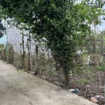  100m2 - 5