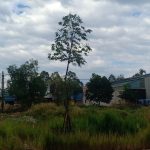  360m2 - 1