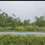  1020m2 - 1
