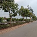  440m2 - 1