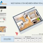  50m2 - 1