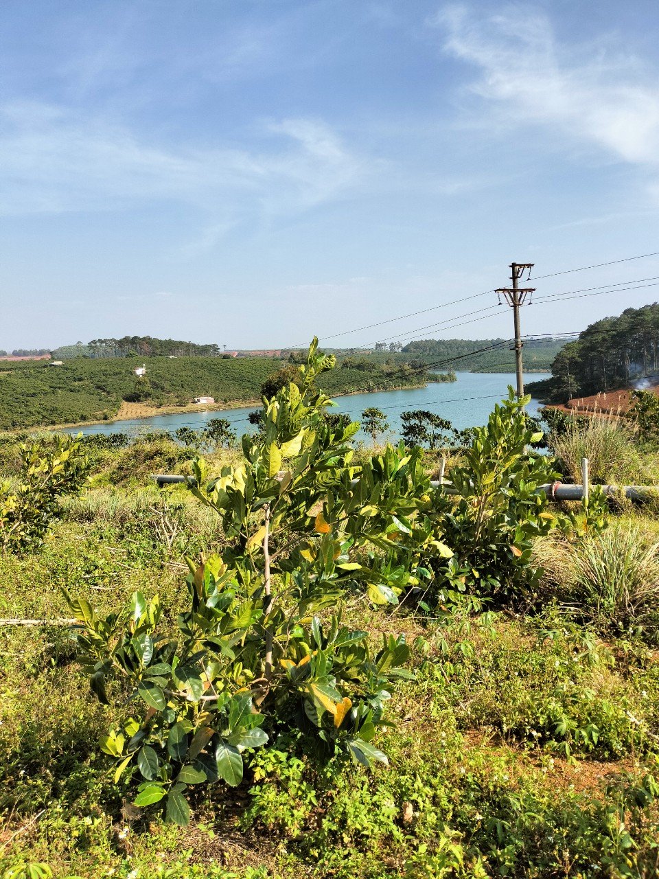 Chính chủ cần bán 2 lô đất liền kề view hồ tại TT Lộc Thắng, Bảo Lâm