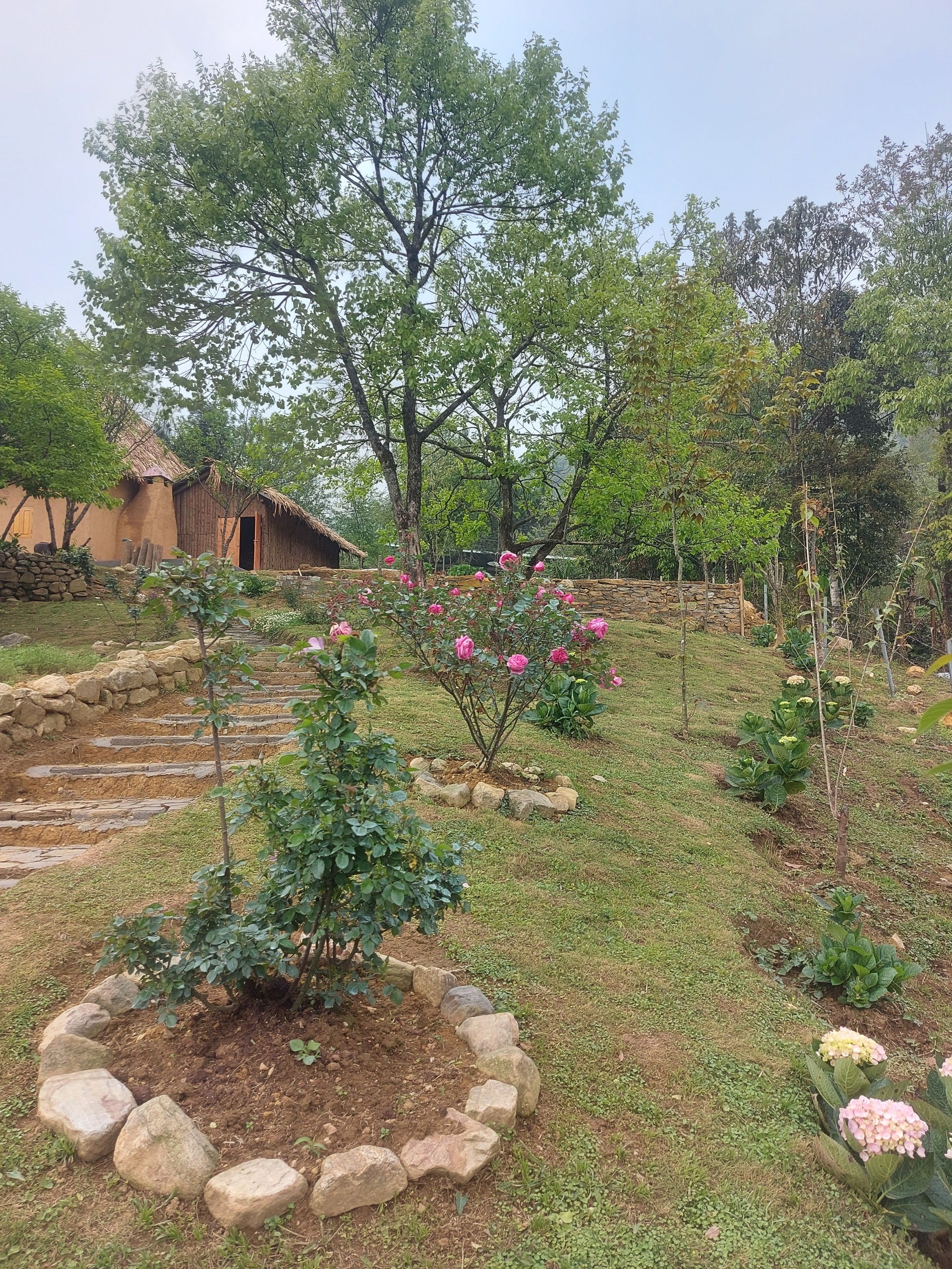 Bán sành homestay đẹp nhất Y Tý, quy hoạch sapa 2