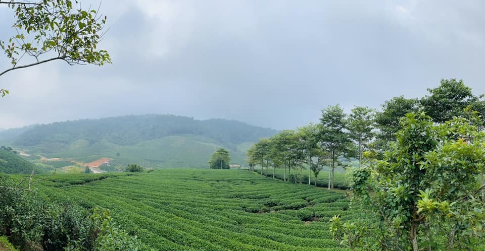 Cần tiền trả nợ nên cần bán đất