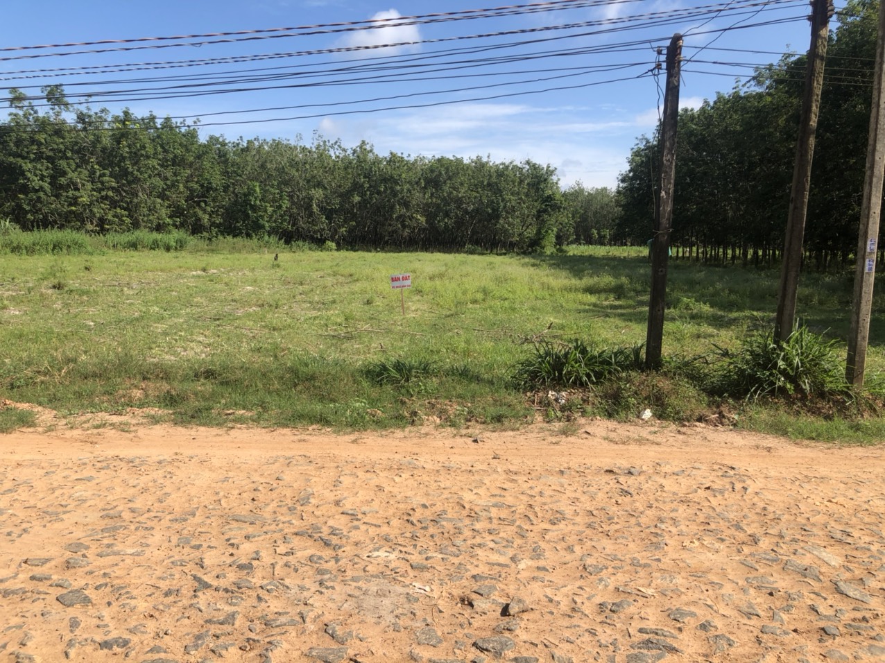 CHÍNH CHỦ CẦN BÁN LÔ ĐẤT XÃ THẠNH TÂY, HUYỆN TÂN BIÊN, TỈNH TÂY NINH.