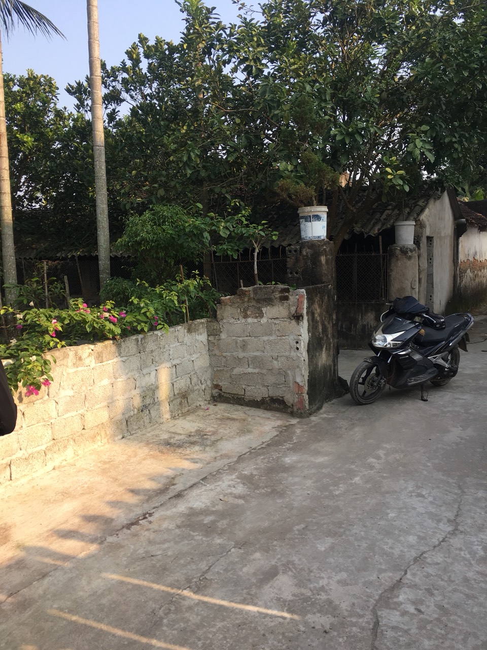 Bán gấp nhà xã Dân Lý, huyện Triệu Sơn, tỉnh Thanh Hóa, 472m2, MT 18m, hướng Đông Nam, mTG