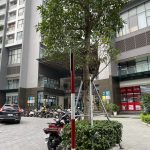  152m2 - 3
