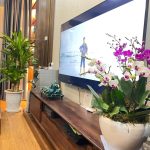  50m2 - 4