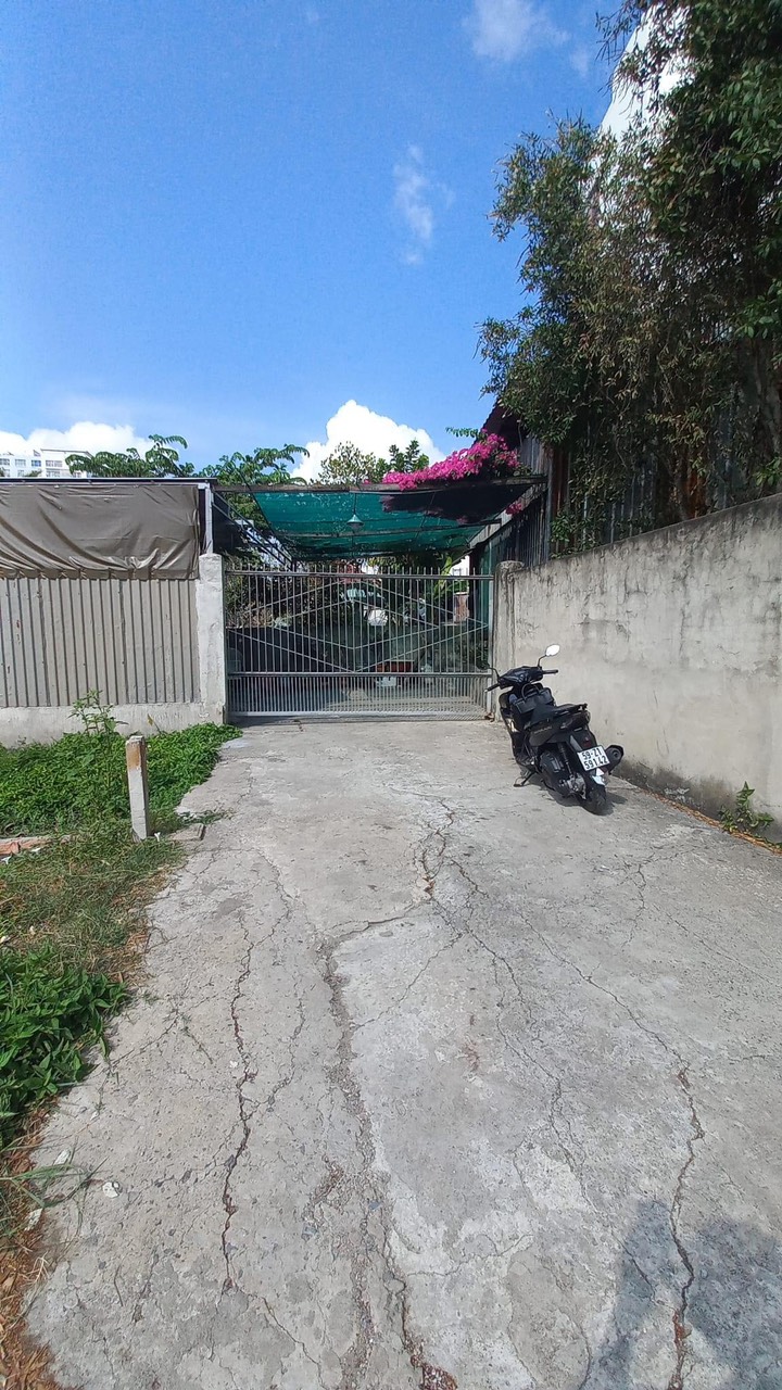 Bán Đất Chính Chủ Ngay Phường Phú Mỹ Quận 7 . Tặng Giấy Phép Xây Dựng Giá Hữu Nghị 3 tỷ Nhẹ