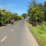  100m2 - 1